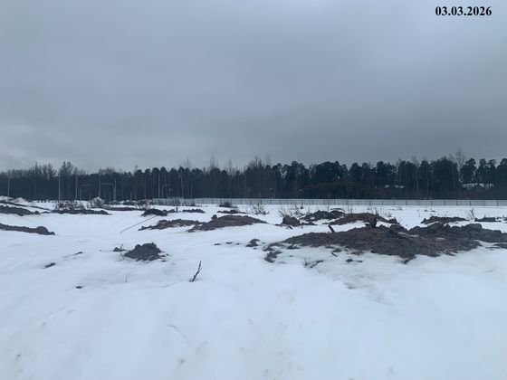 Город-парк «Лисино», корпус 2.1 — 1 кв. 2026 г.