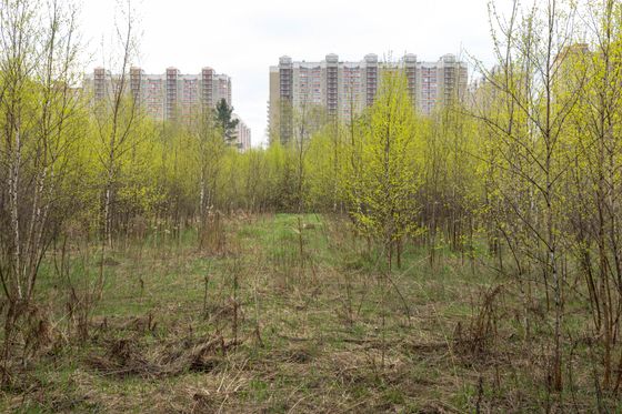 ЖК «Новая Алексеевская роща», корпус 5 — 2 кв. 2025 г.