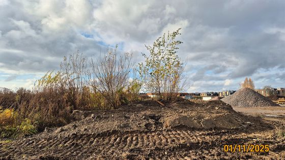 ЖК Любоград, корпус 4.3 — 4 кв. 2025 г.