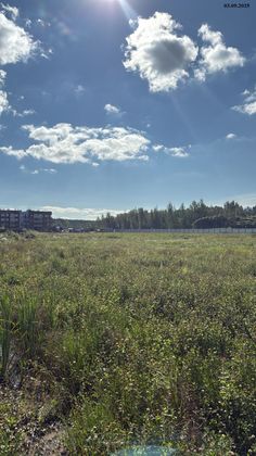 Город-парк «Лисино», корпус 2.2 — 3 кв. 2025 г.