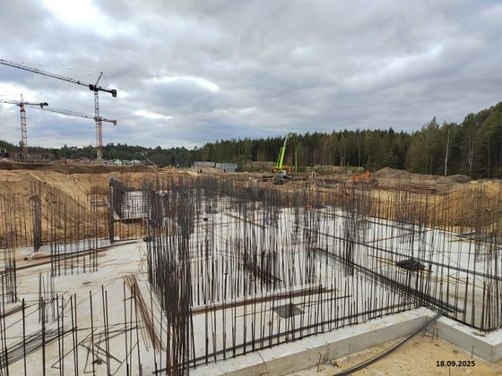 Квартал «Охтинские высоты», корпус 6 — 3 кв. 2025 г.