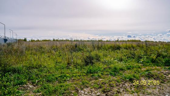 ЖК «Квартал Лаголово», корпус 11.1 — 3 кв. 2025 г.