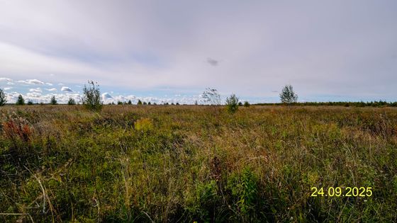 ЖК «Квартал Лаголово», корпус 8.1 — 3 кв. 2025 г.
