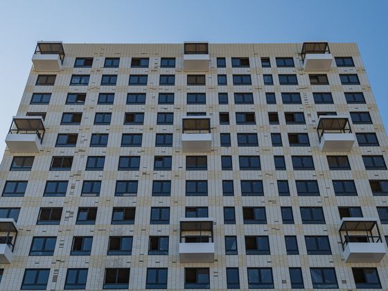 ЖК «Янинский лес», корпус 5 — 3 кв. 2025 г.