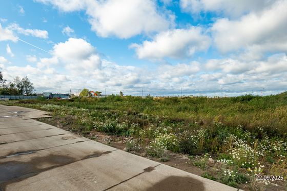 Квартал «Кронфорт. Центральный», корпус 4 — 3 кв. 2025 г.