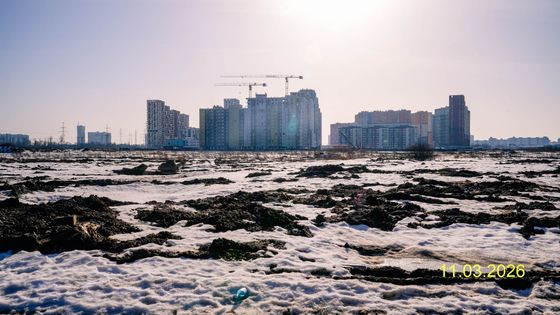 ЖК «Южная Нева», корпус 11 — 1 кв. 2026 г.