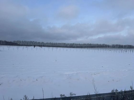 Квартал Миниполис «Дивное», корпус 6 — 4 кв. 2025 г.