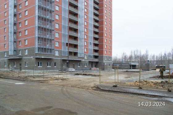 Квартал «Живи! В Рыбацком», ул. Гудиловская, 9 — 1 кв. 2024 г.