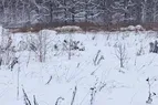 Жилой район «Прокшино», ул. Лобановский Лес, 11 — 4 кв. 2021 г.
