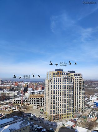 ЖК «Стрижи Сити», корпус 6 — 1 кв. 2024 г.