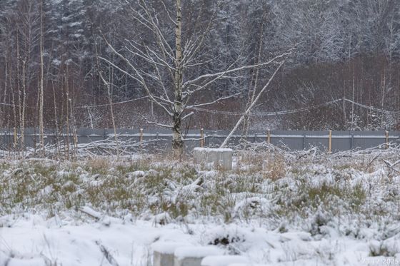 ЖК «Янила Форест», корпус 3 — 4 кв. 2025 г.