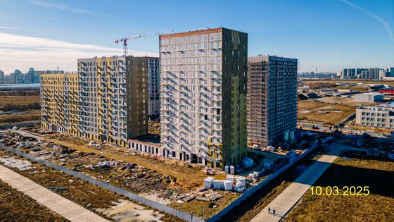 ЖК «Невская Долина», корпус 1.1 — 1 кв. 2025 г.