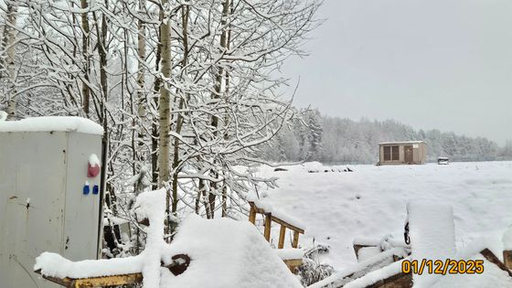 ЖК «Ясно.Янино», корпус 14.10 — 4 кв. 2025 г.