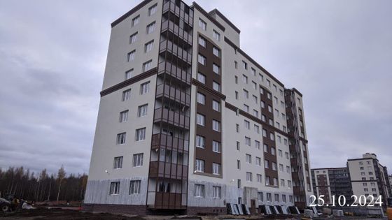 ЖК «Кировский посад», ул. Новая, 33 — 4 кв. 2024 г.