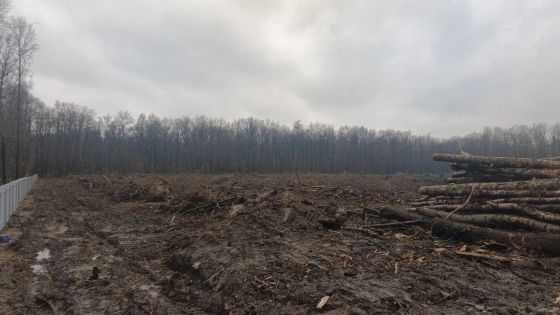 ЖК «Юго-Западный квартал», корпус 1 — 4 кв. 2025 г.