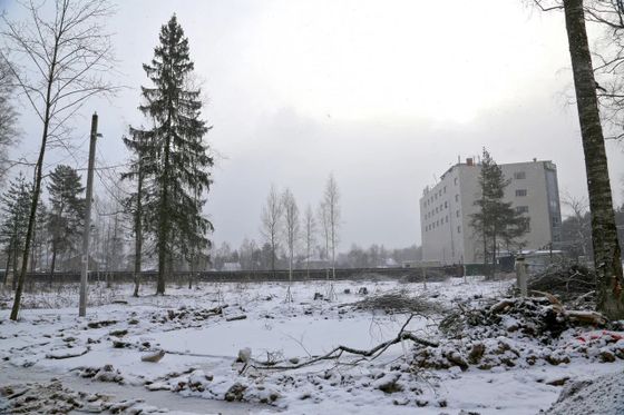 Квартал «Лесная Отрада», корпус 7 (2 оч.) — 1 кв. 2025 г.