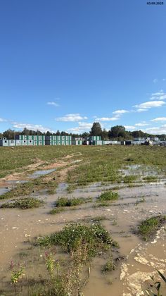 Город-парк «Лисино», корпус 2.3 — 3 кв. 2025 г.