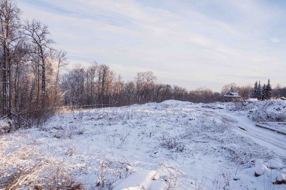 ЖК «Лесная симфония», корпус 1 — 4 кв. 2023 г.