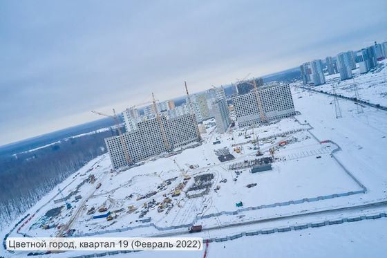 Кв 2022. Цветной город план застройки 19 квартал. Цветной город ЛСР корпус 15. Цветной город ЛСР схема 2022.