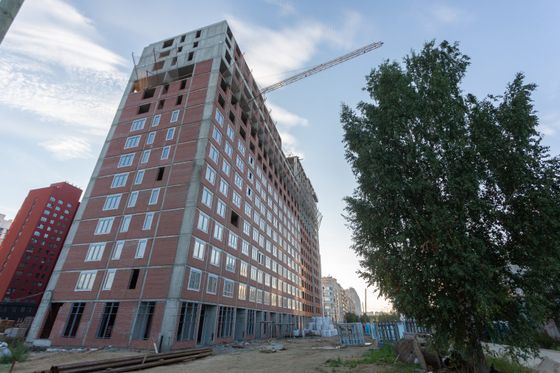 Квартал «Ньютон Парк», ул. Краснолесья, 10/5 — 3 кв. 2023 г.