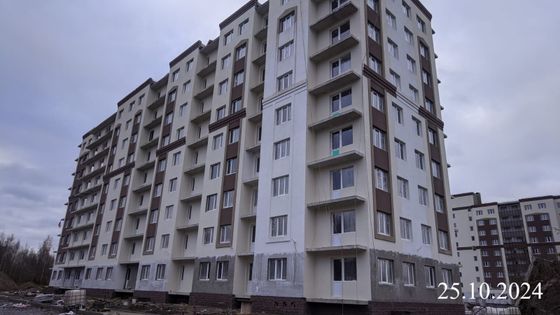 ЖК «Кировский посад», ул. Новая, 31 — 4 кв. 2024 г.