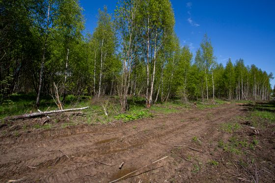ЖК «Ильинские луга», корпус 4.1 — 2 кв. 2025 г.