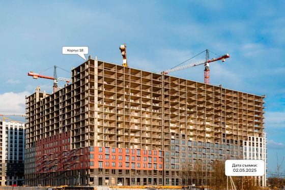 ЖК «Пригород Лесное», пр. Василия Мамрова, 4 — 2 кв. 2025 г.