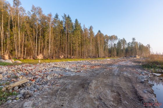 Жилой район «Юнтолово», Ивинская ул., 19, к. 3 — 3 кв. 2020 г.