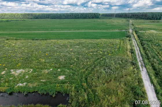ЖК «Невская Долина», корпус 7.1 — 3 кв. 2026 г.