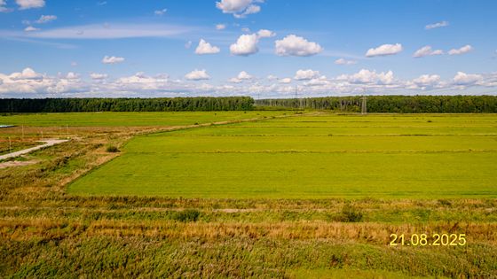 ЖК «Невская Долина», корпус 7.1 — 3 кв. 2025 г.
