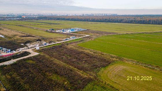 ЖК «Невская Долина», корпус 7.1 — 4 кв. 2025 г.