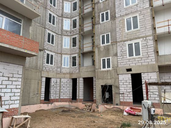 ЖК «Эдельвейс.Янино», корпус 1 — 3 кв. 2025 г.