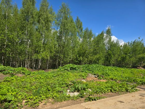 ЖК «Павлово 3», корпус 7 — 2 кв. 2025 г.