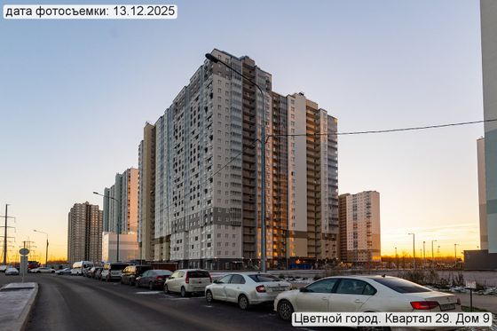 ЖК «Цветной город», Муринская дорога, 6 — 4 кв. 2025 г.