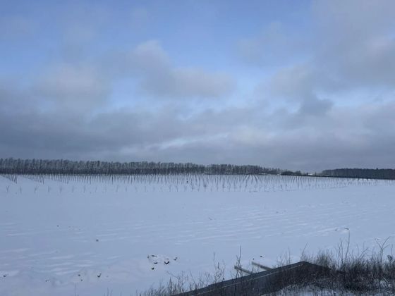 Квартал Миниполис «Дивное», корпус 7 — 4 кв. 2025 г.