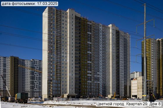 ЖК «Цветной город», корпус 8 (квартал 29) — 1 кв. 2025 г.
