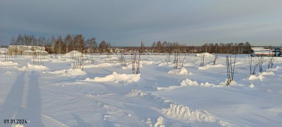 ЖК «Кипрея Квартиры», корпус 14 — 1 кв. 2024 г.