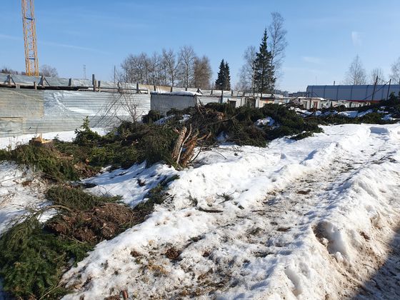 ЖК «Клевер», корпус 4 — 1 кв. 2024 г.