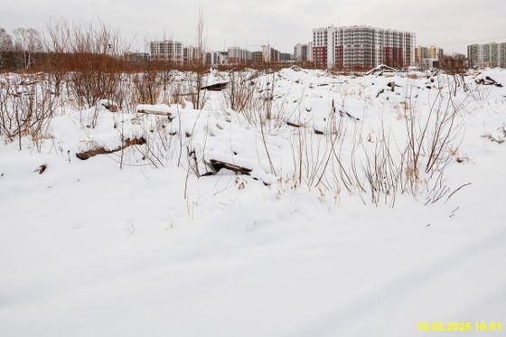 ЖК «Максималист», корпус 3 — 1 кв. 2025 г.