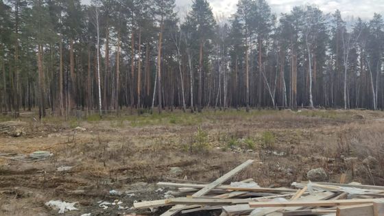 ЖК «Лесная сказка», ул. Олимпийская, 3А — 2 кв. 2022 г.