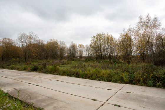 ЖК «Ильинские луга», корпус 4.3 — 4 кв. 2025 г.