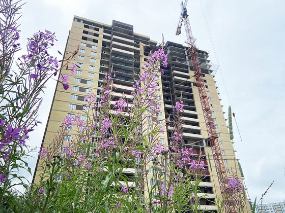 Микрорайон «Брусилово», Оснабрюкская ул., 22 — 3 кв. 2023 г.