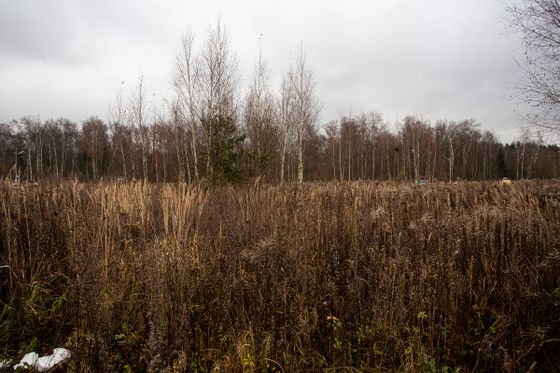 ЖК «Середневский лес», корпус 2.1.2 — 4 кв. 2025 г.