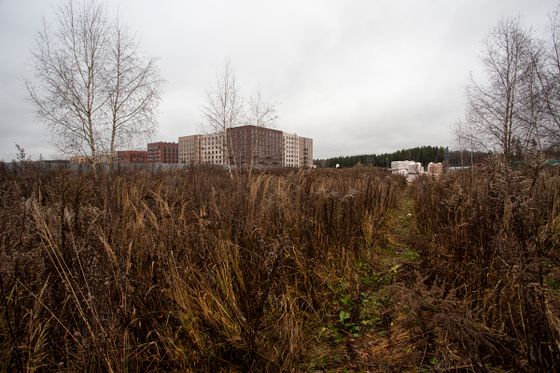 ЖК «Середневский лес», корпус 2.1.3 — 4 кв. 2025 г.