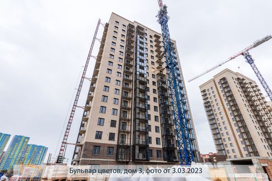 ЖК «Бульвар цветов», ул. Караульная, 43/3 — 1 кв. 2023 г.