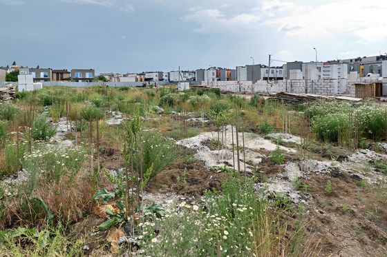Микрорайон «Немецкая Деревня», ул. Вагнера, 10, к. 1 — 2 кв. 2022 г.