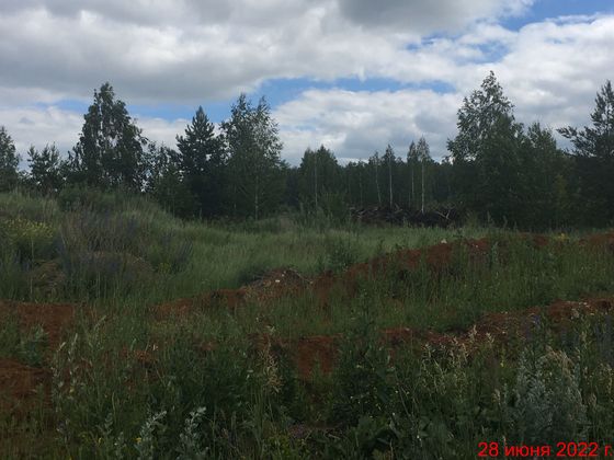 Экорайон «Вишневая горка», ул. Олимпийская, 6 — 2 кв. 2022 г.