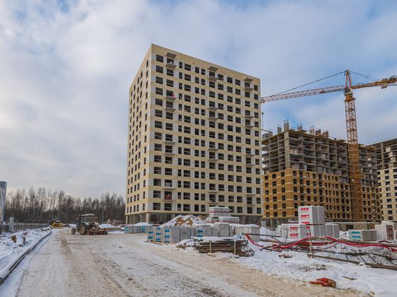 ЖК «Янинский лес», корпус 8 — 1 кв. 2025 г.