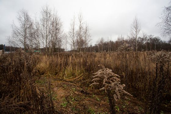 ЖК «Середневский лес», корпус 2.1.1 — 4 кв. 2025 г.