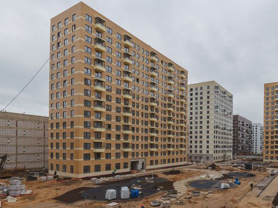 ЖК «Янинский лес», корпус 9 — 4 кв. 2025 г.